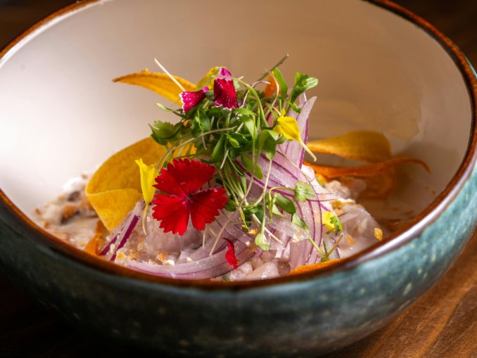  Gourmet Dining in Riviera Nayarit – Agave Villas 