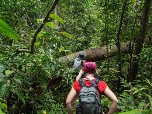  Hiking in Riviera Nayarit – Agave Villas 