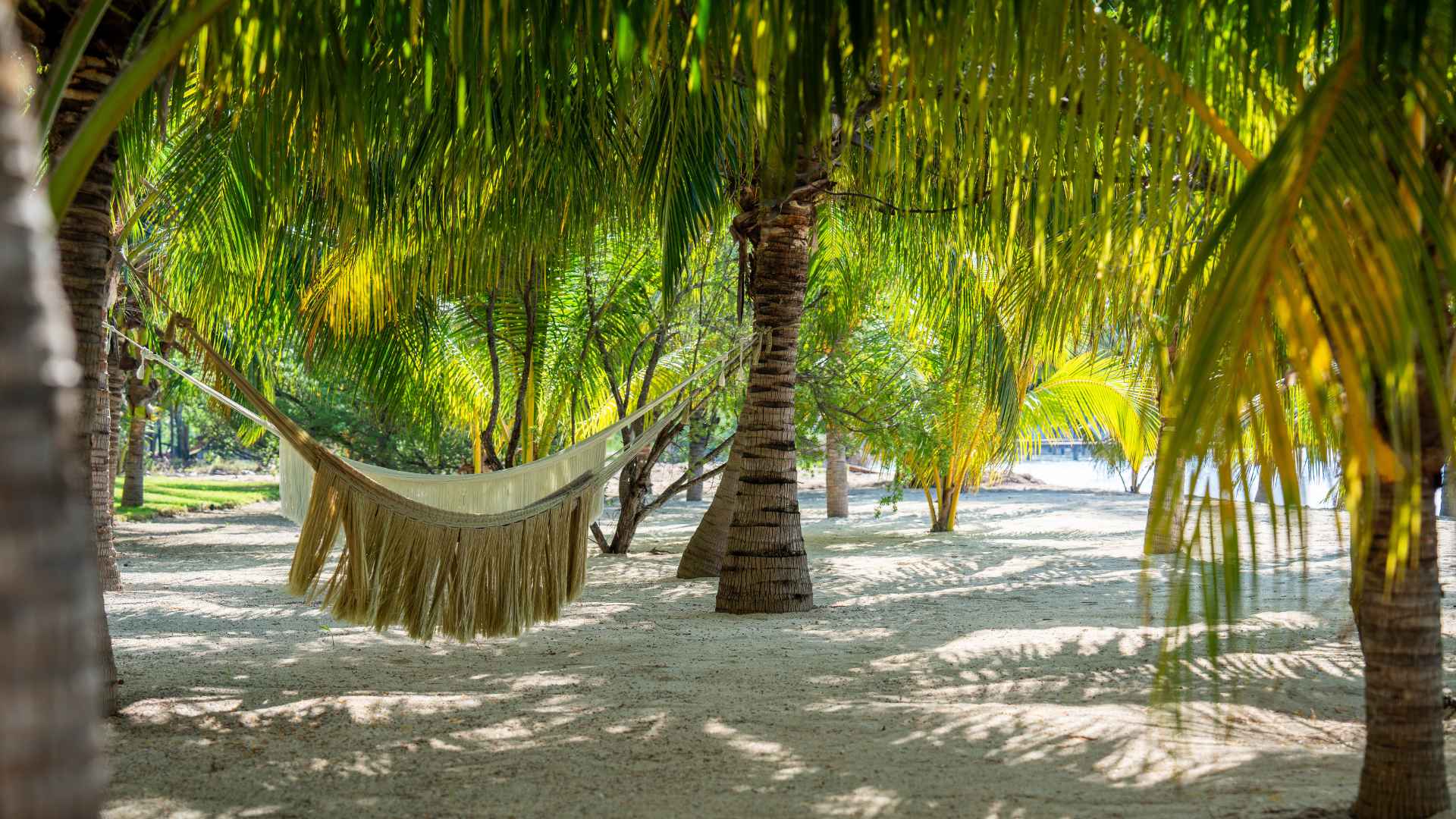 PH Artila - Riviera Maya