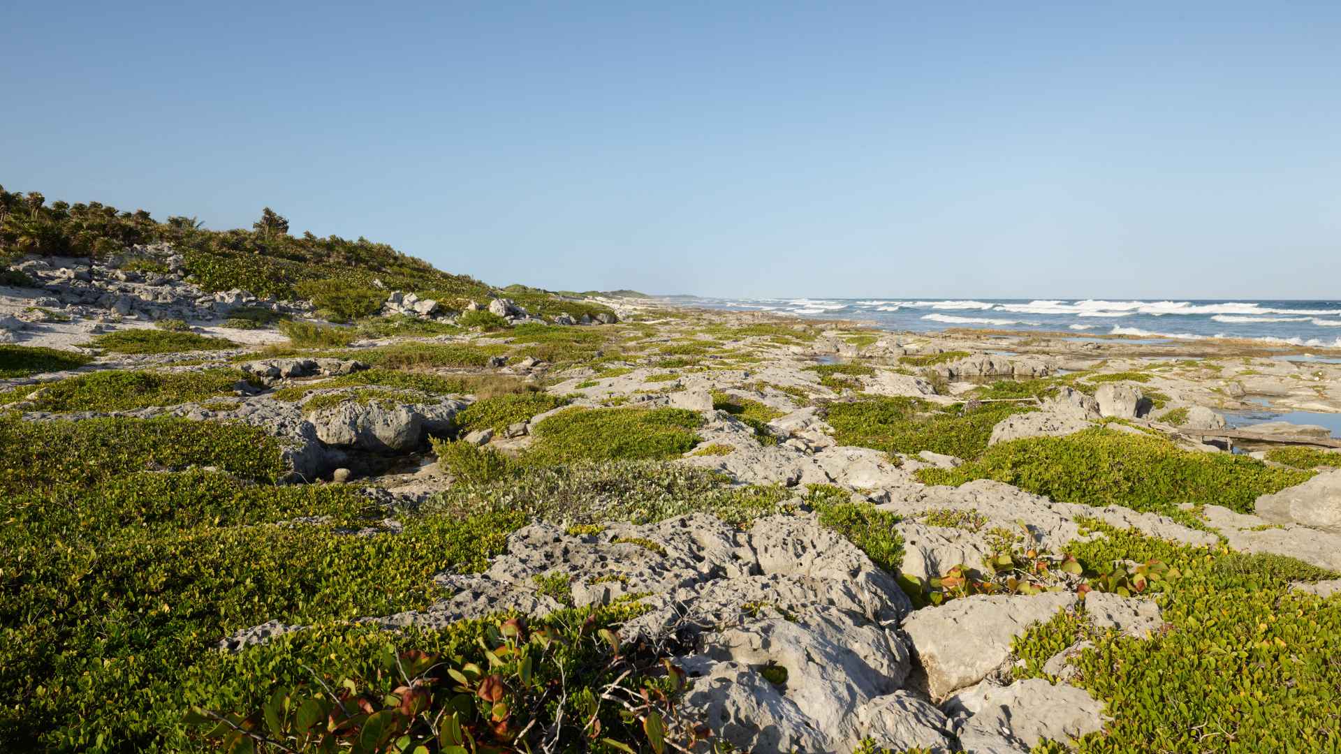 Villa I'ik - Riviera Maya