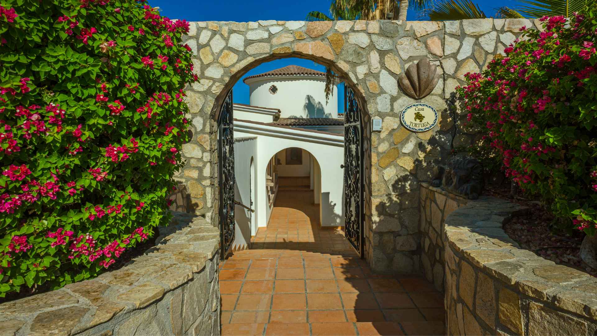 Villa Tortuga - San Jose del Cabo