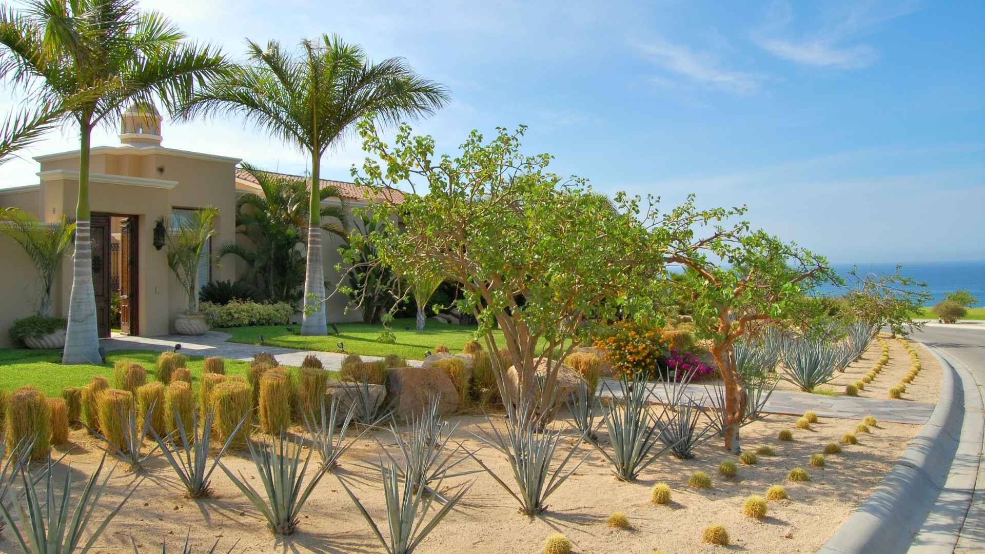 Casa Gamino - San Jose del Cabo