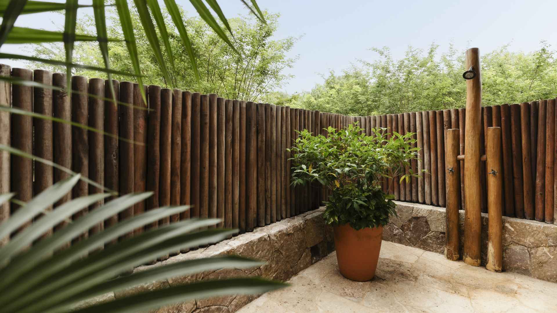 La Vida Dulce - Punta Mita