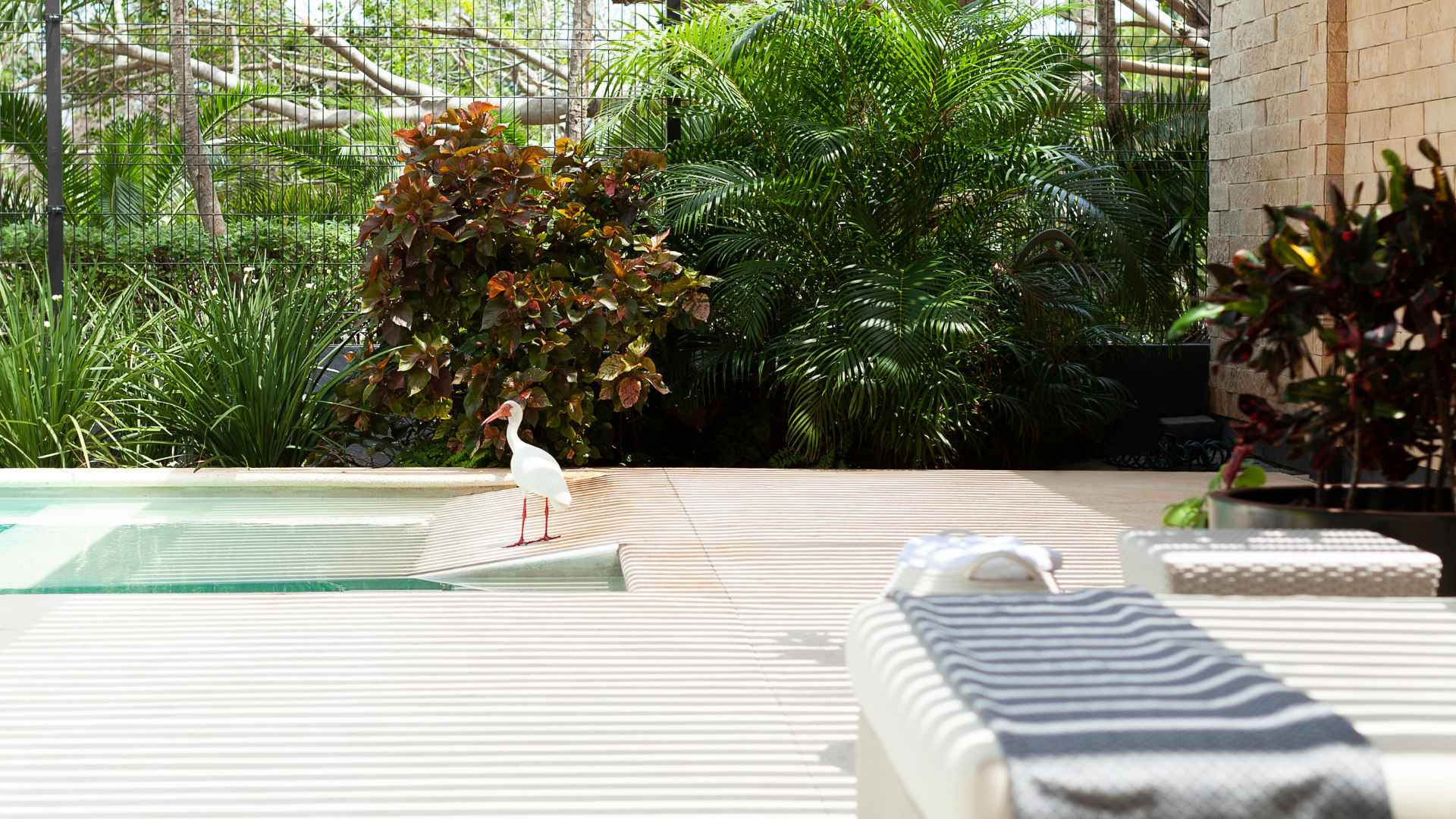 Villa Colibri - Cancun