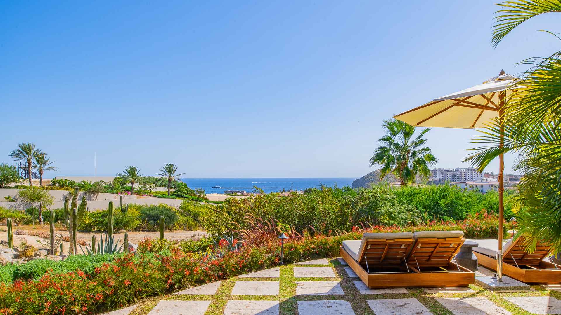 Palmaritos 6 - Cabo San Lucas