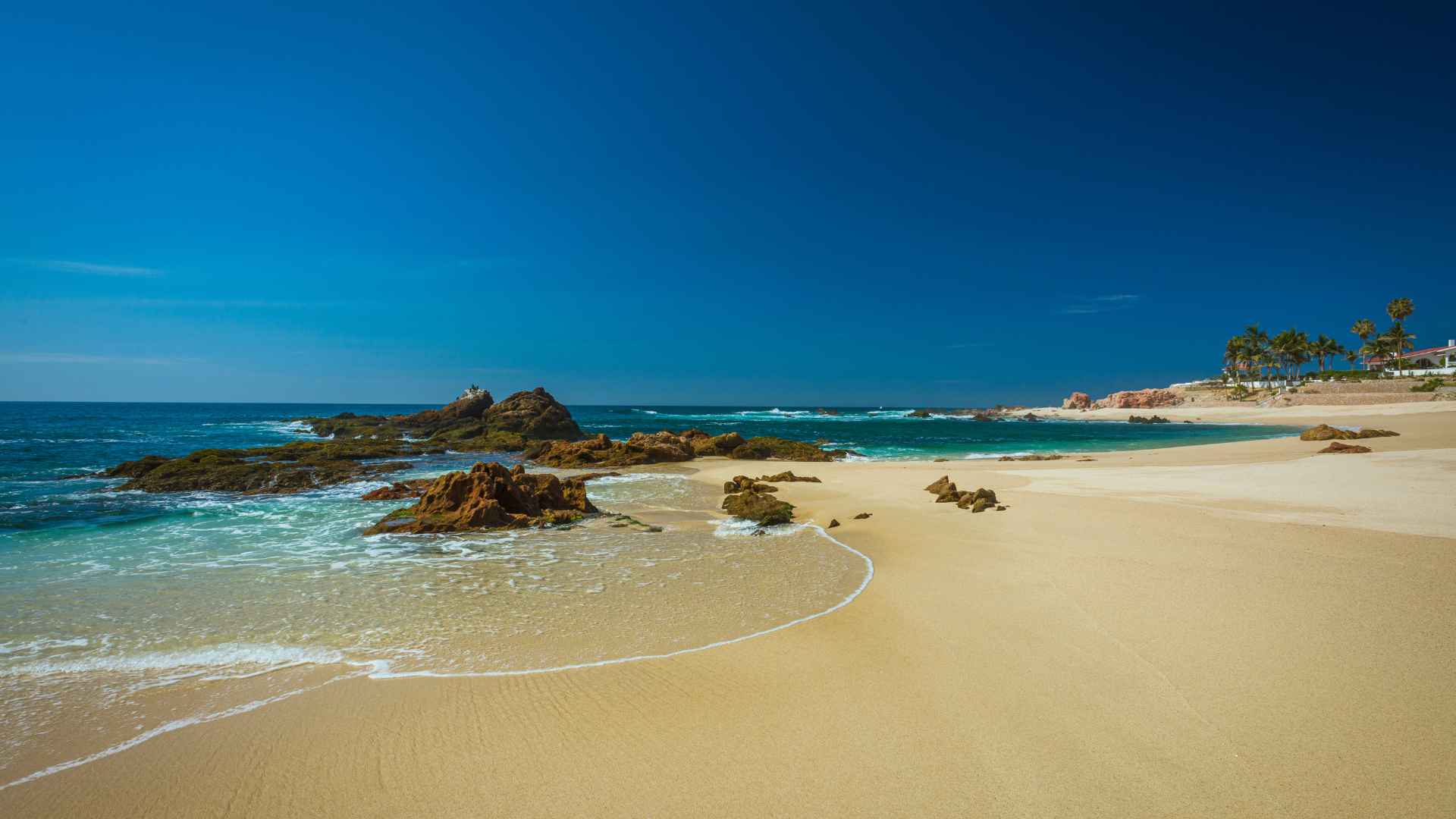 Villa Tortuga - San Jose del Cabo