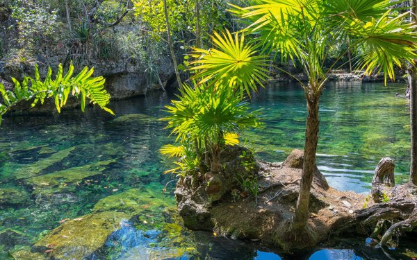 Cenote Manati – Agave Villas