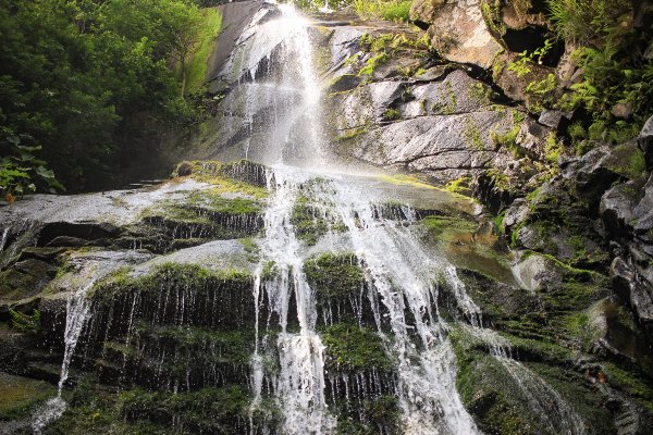 A scenic view of waterfalls surrounded by lush greenery and vibrant green moss creates a tranquil and serene atmosphere.