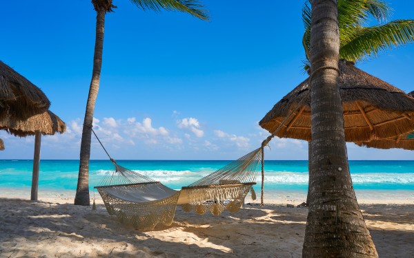 Hammock under a palm Soliman Bay – Agave Villas